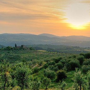 Countryside_in_Reggello