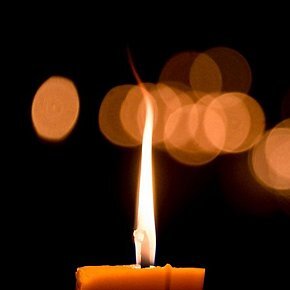 Immagine 2023-11-02 125248